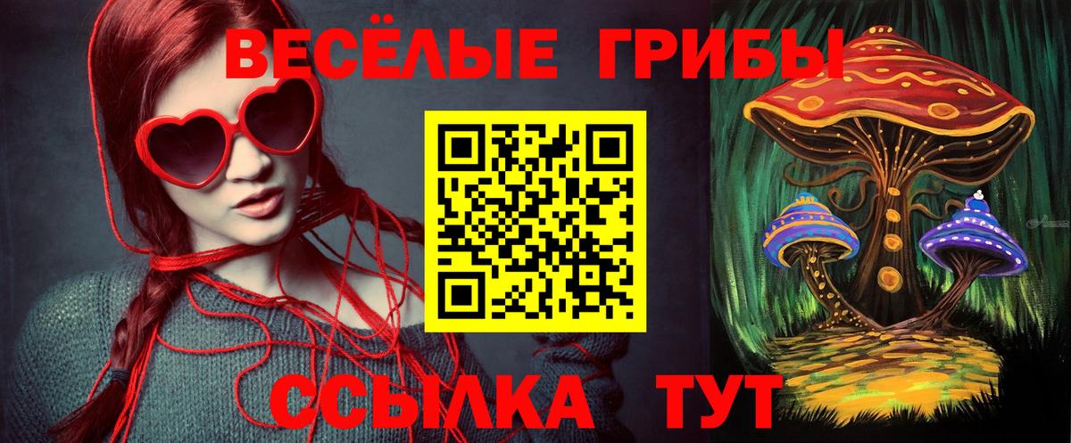 как найти закладки  Псилоцибиновые грибы Psilocybe  Видное  Вход с VPN  Галлюциногенные грибы мицелий 